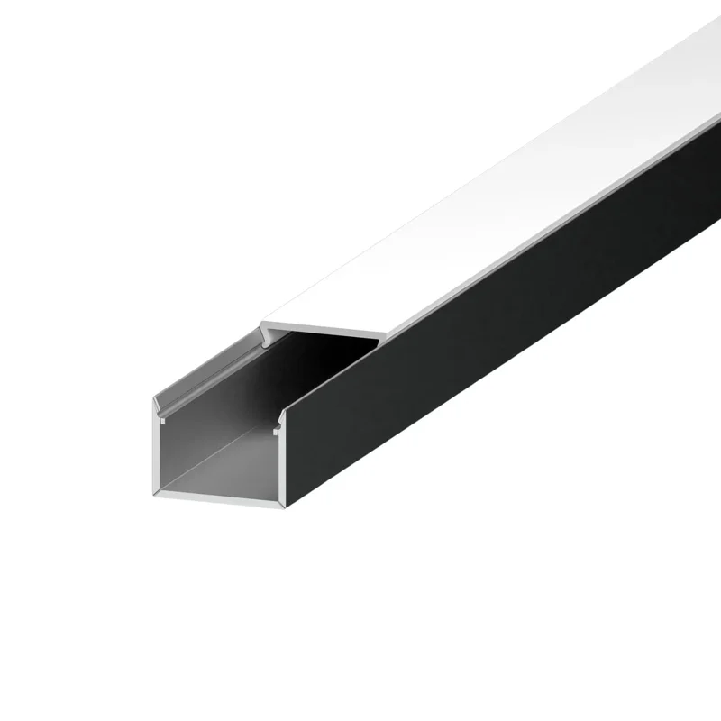beeslighting12617060