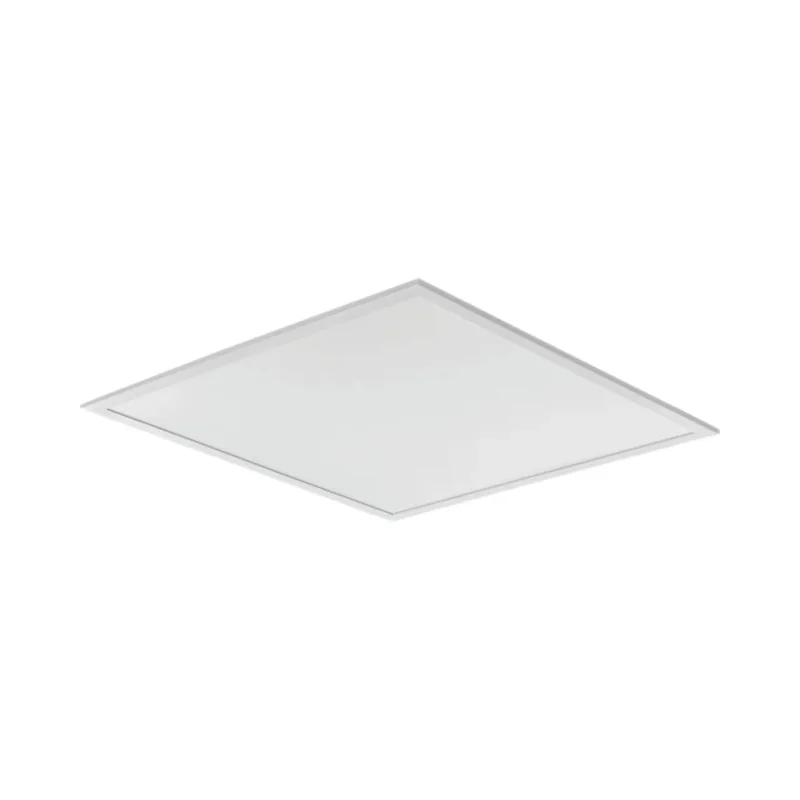 beeslighting12617148
