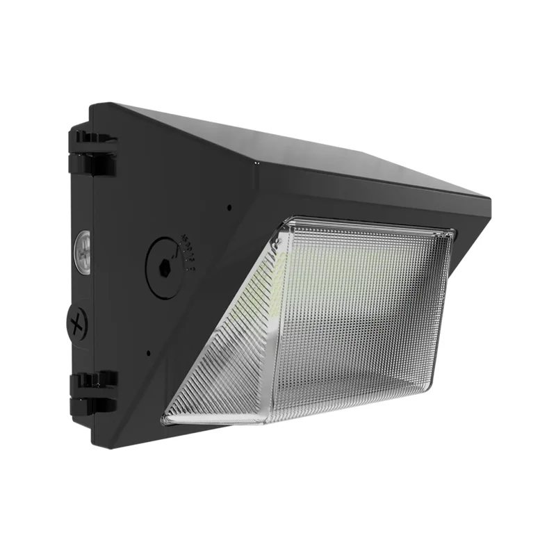 beeslighting12617836
