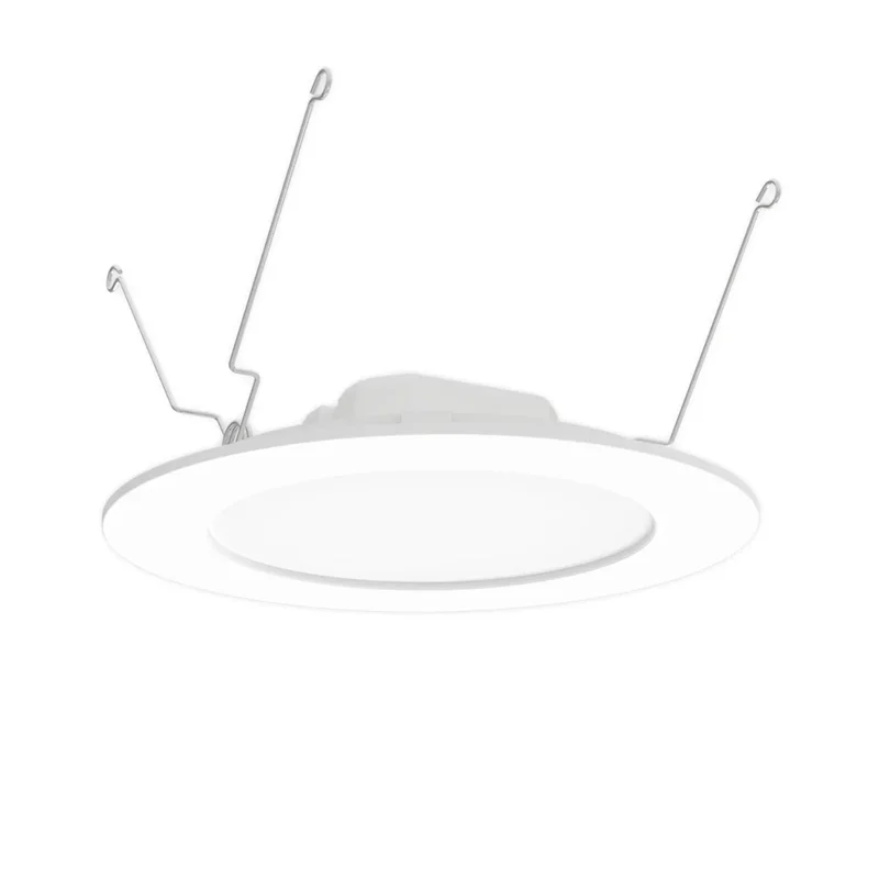 beeslighting12618523