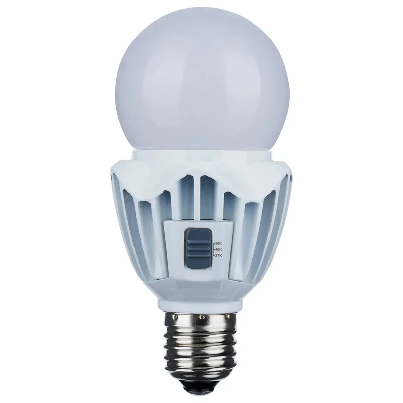 beeslighting12618547