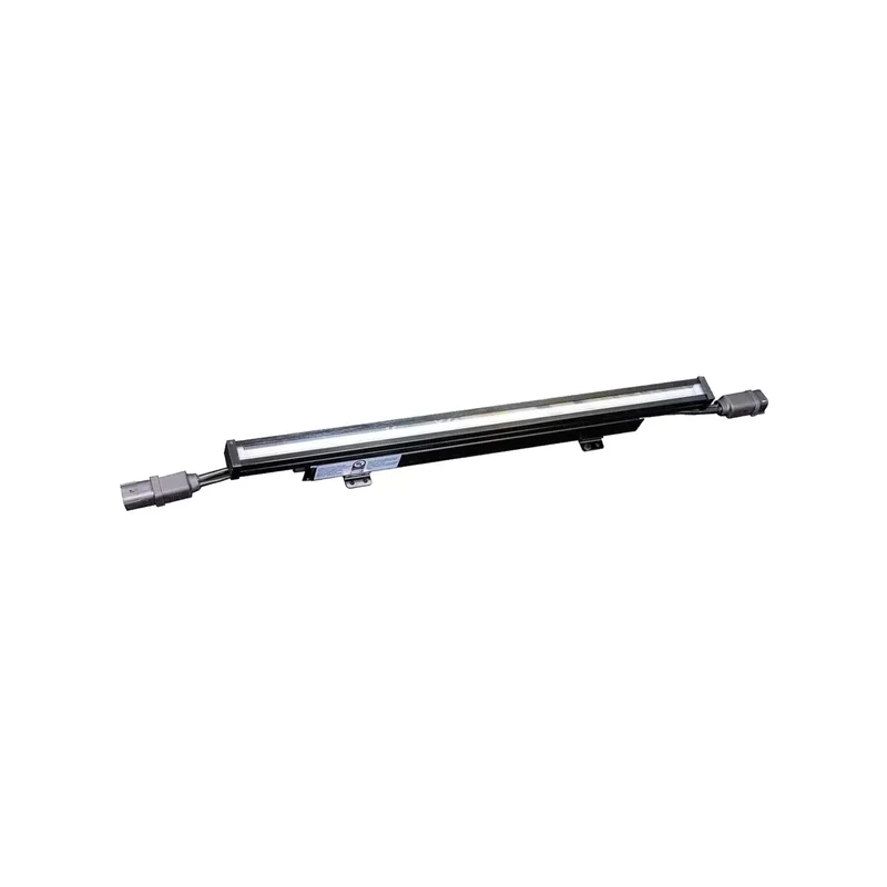 beeslighting12618622
