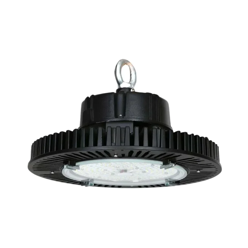 beeslighting12644531