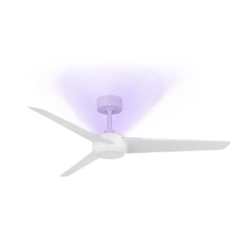 beeslighting12649195