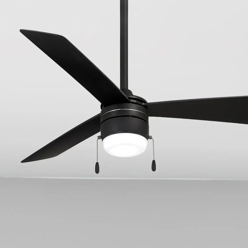 beeslighting12650491