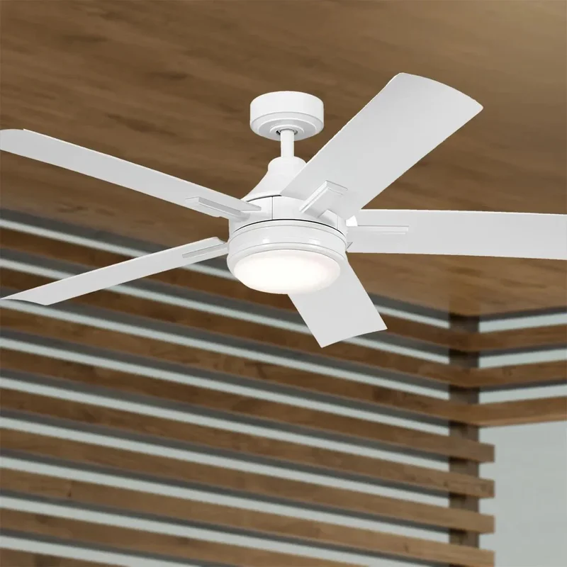 beeslighting12652090
