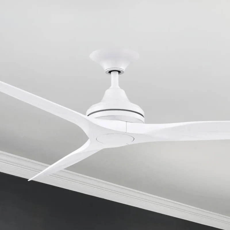 beeslighting12653183
