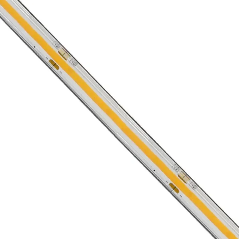 beeslighting12654225