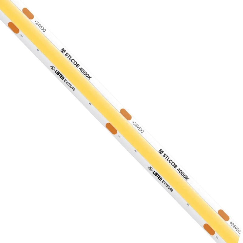 beeslighting12654305