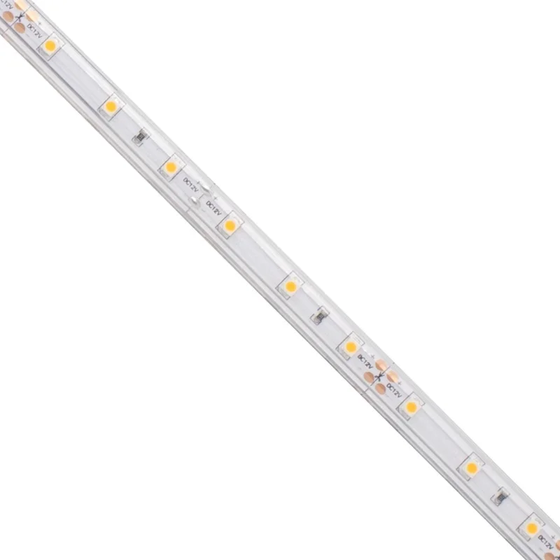 beeslighting12654499