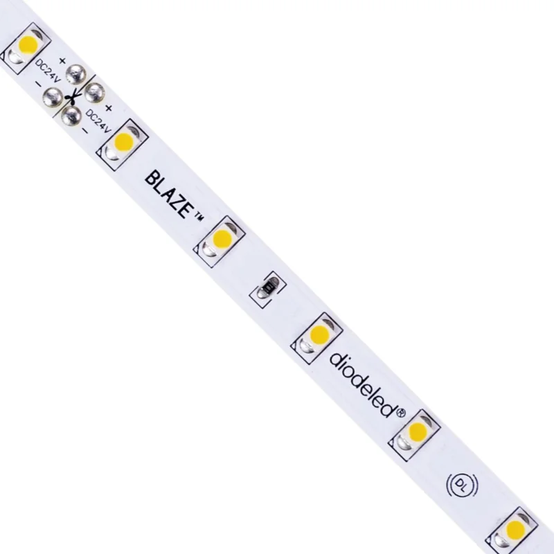 beeslighting12654509