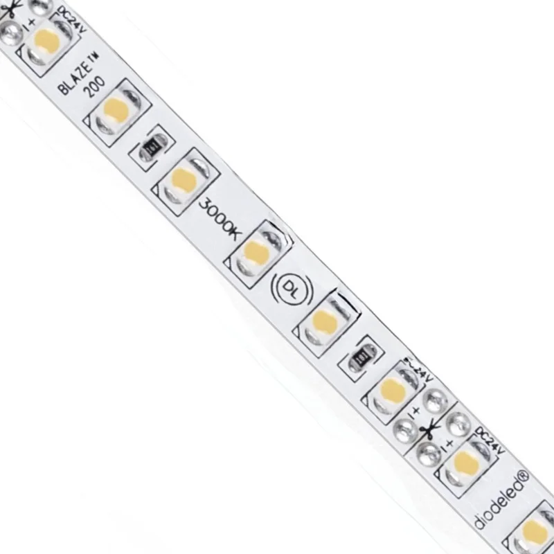 beeslighting12654540