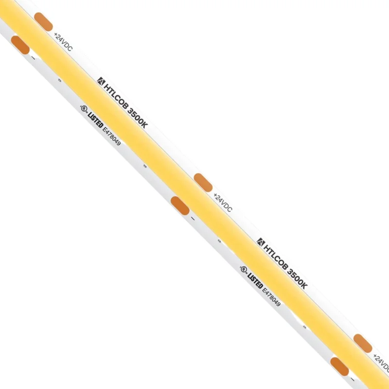 beeslighting12654629