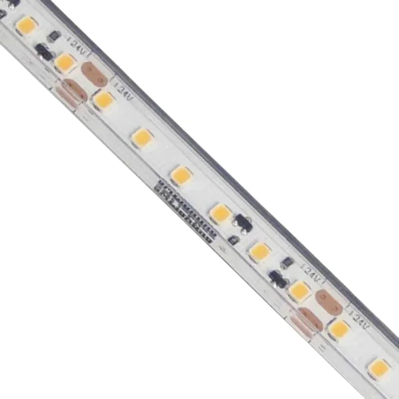 beeslighting12654961
