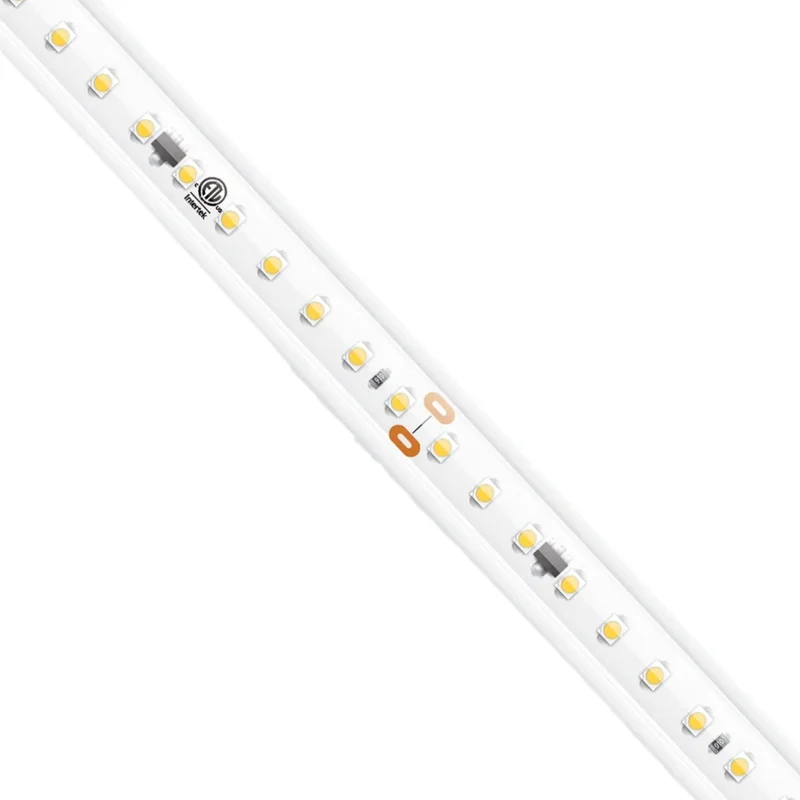beeslighting12655265