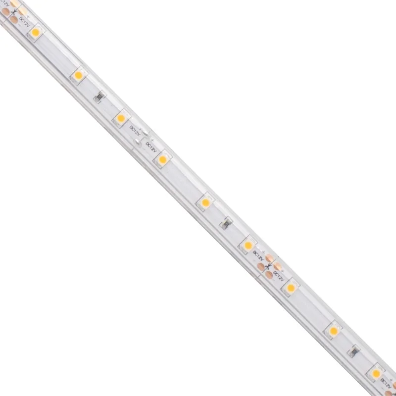 beeslighting12655329