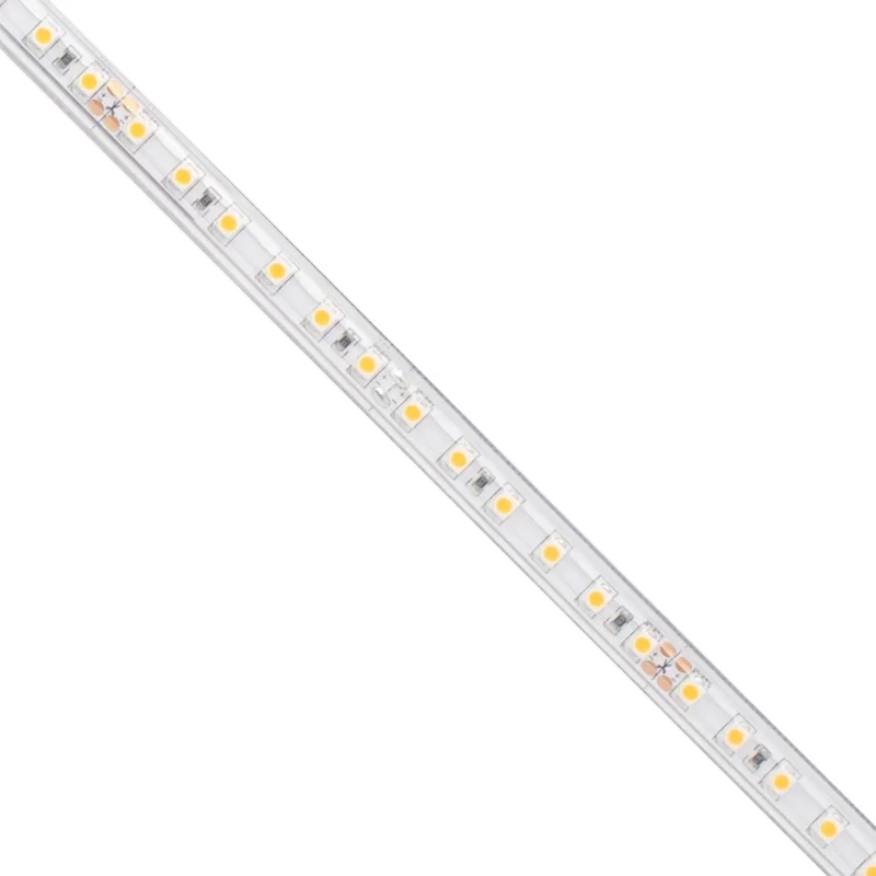 beeslighting12655397