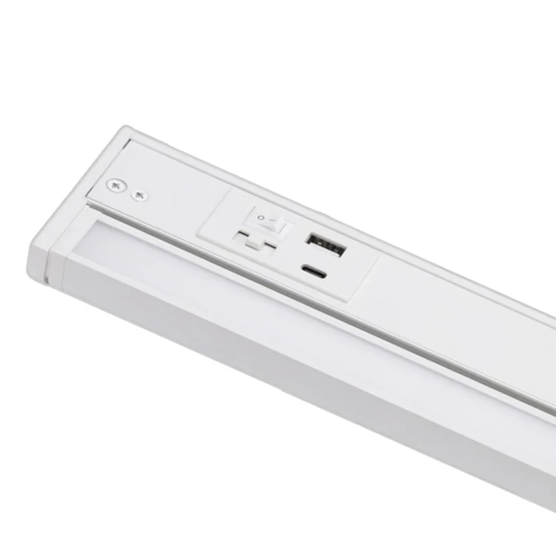 beeslighting12655833
