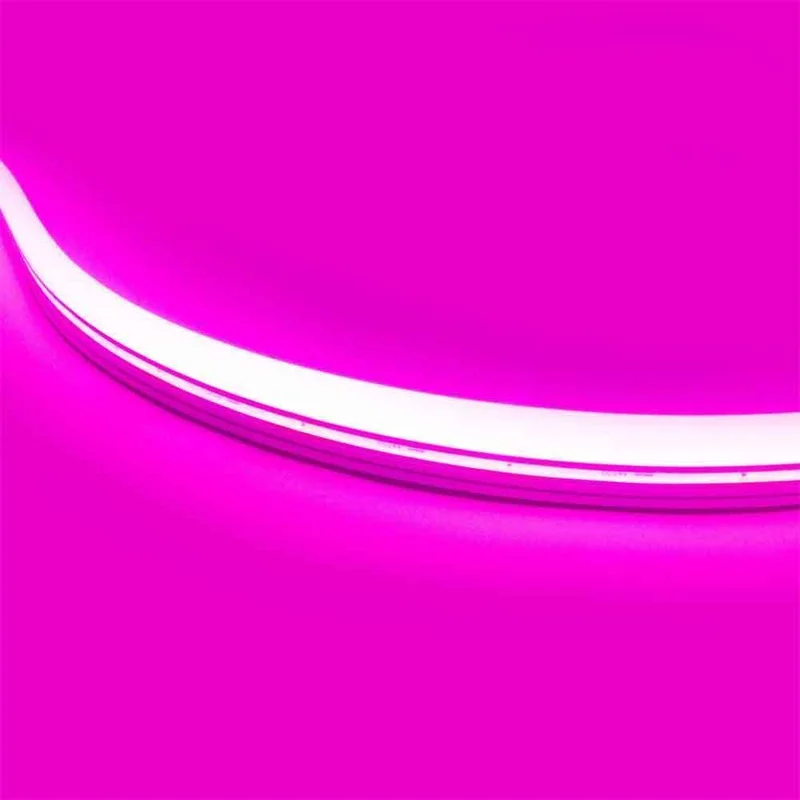 beeslighting12656016