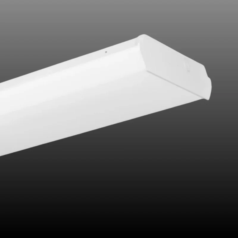 beeslighting12656243