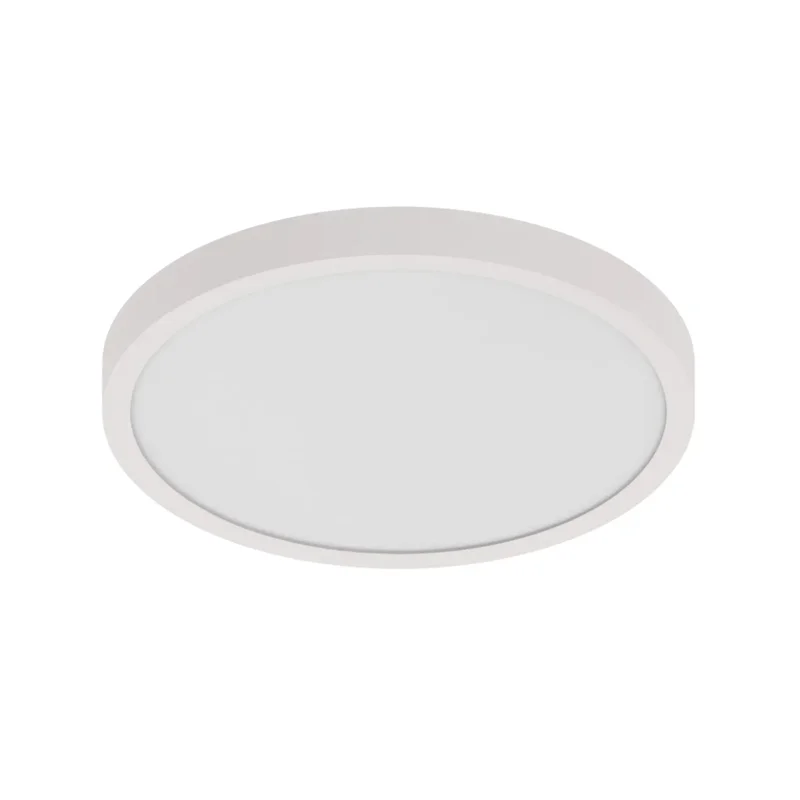 beeslighting12656466