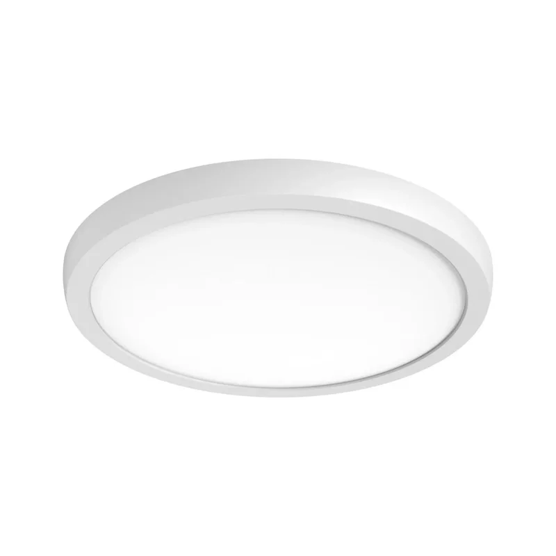 beeslighting12656657