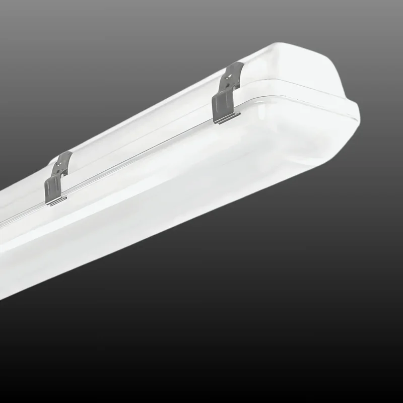 beeslighting12657371