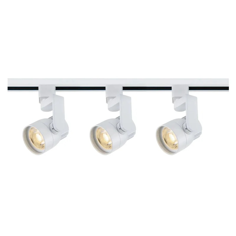 beeslighting12662971