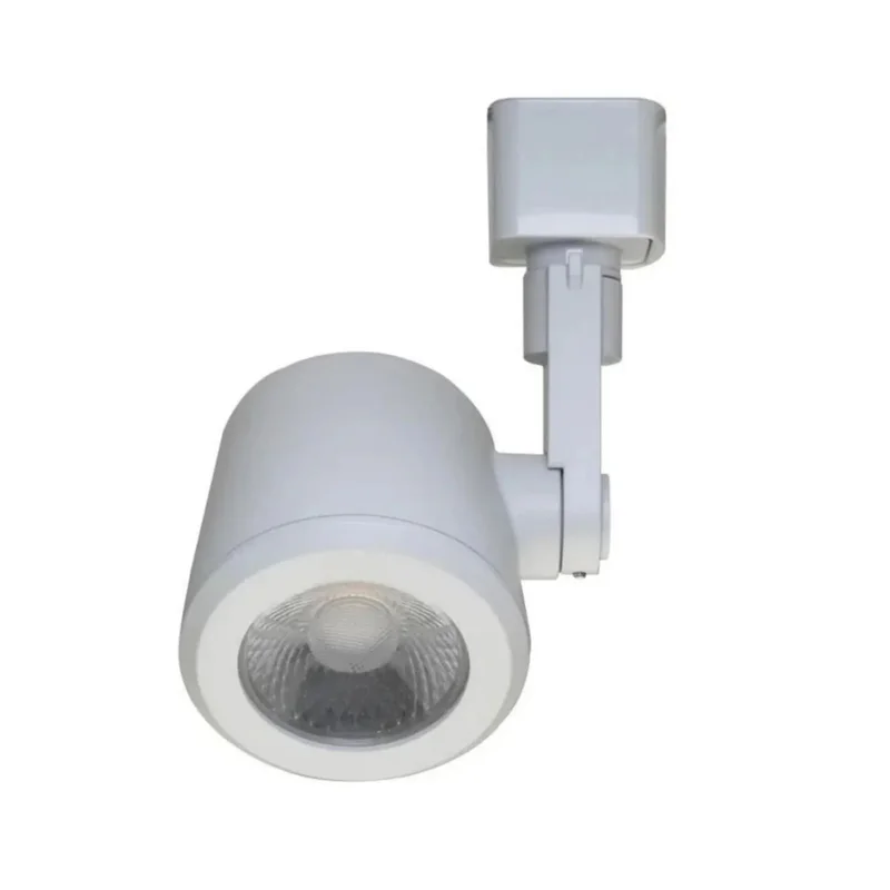 beeslighting12663039