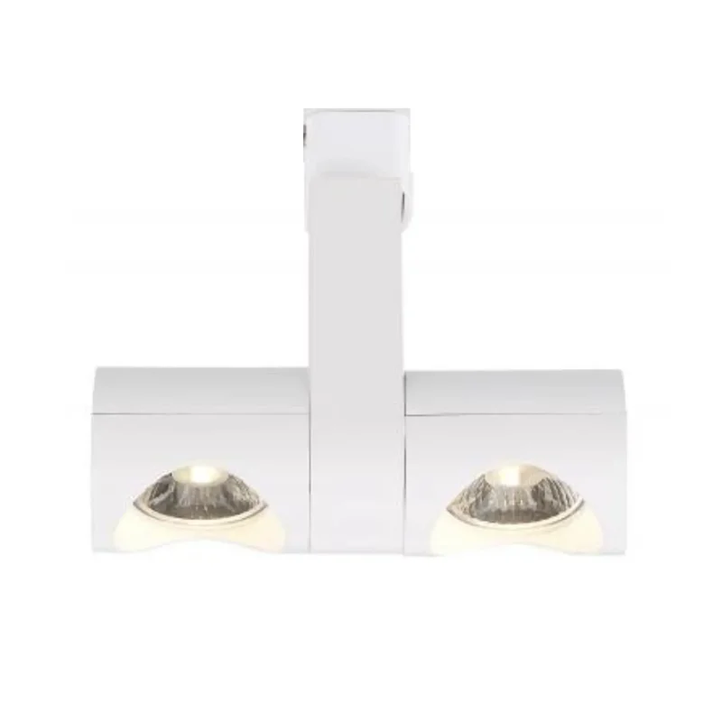 beeslighting12663055