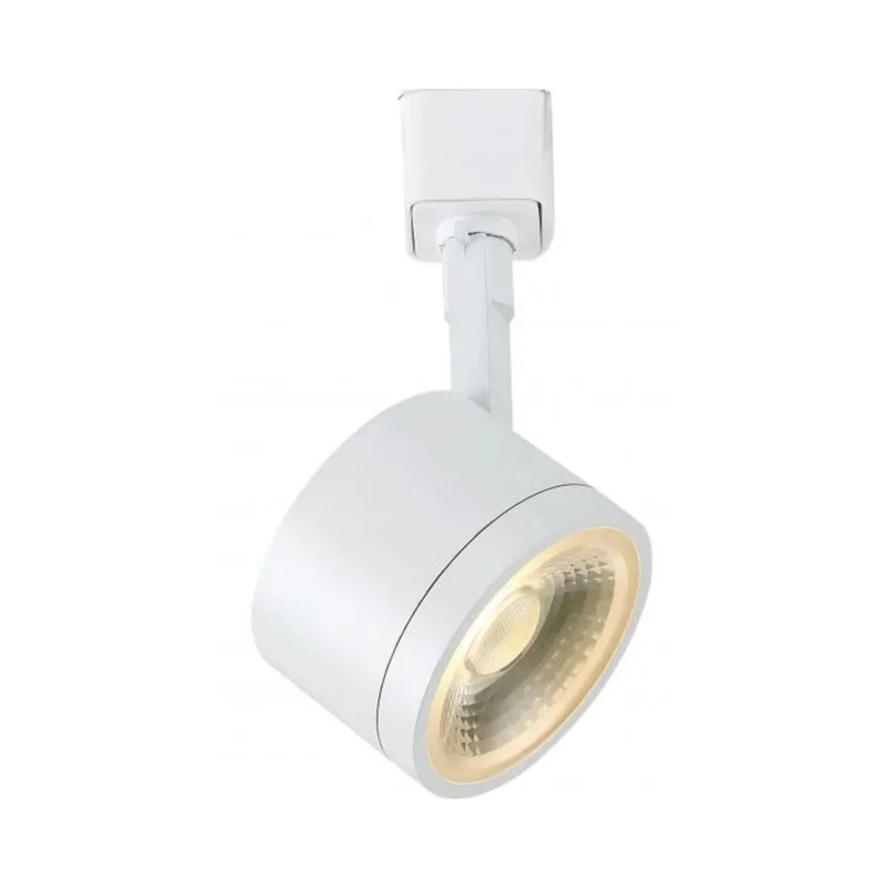 beeslighting12663124