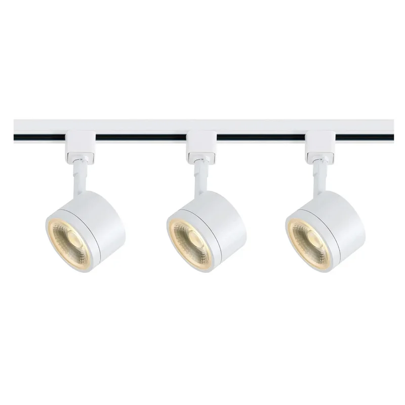 beeslighting12663131