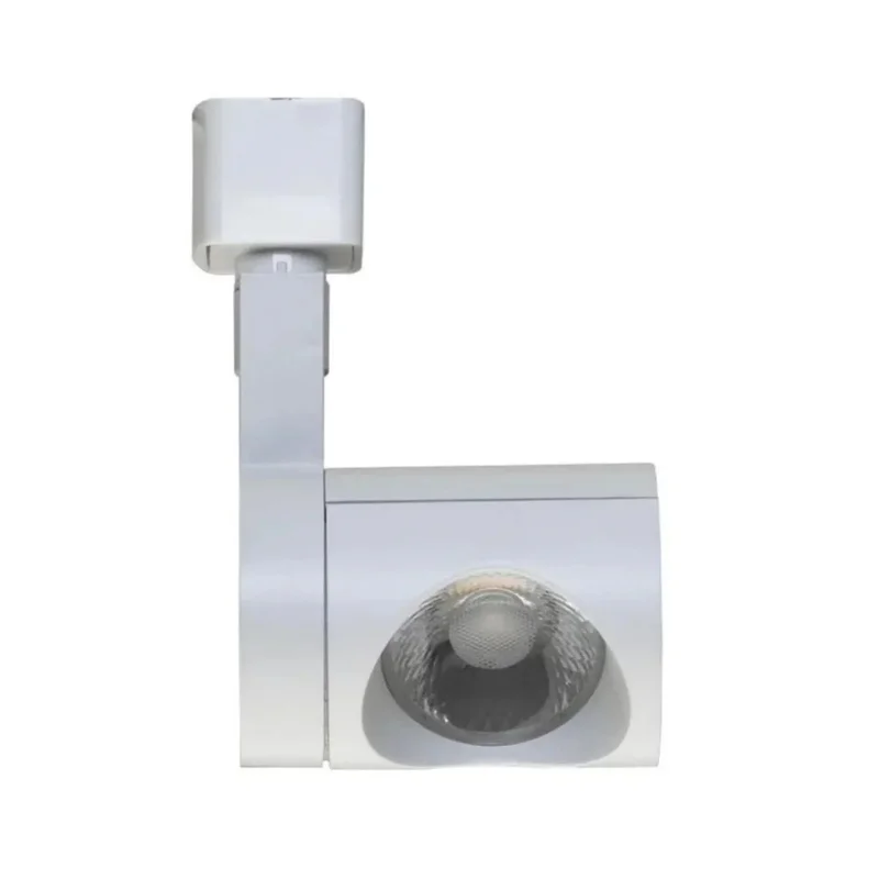 beeslighting12663158