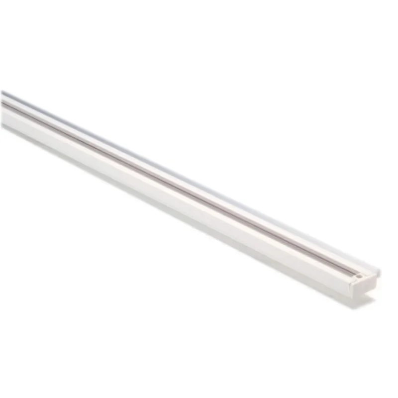 beeslighting12663241