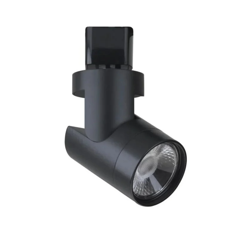 beeslighting12663251