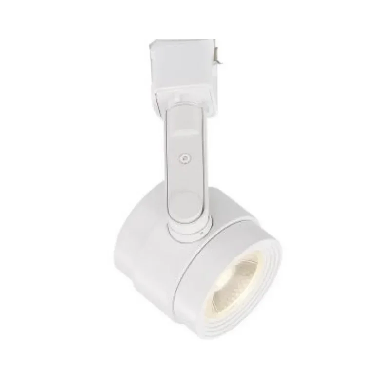 beeslighting12663510