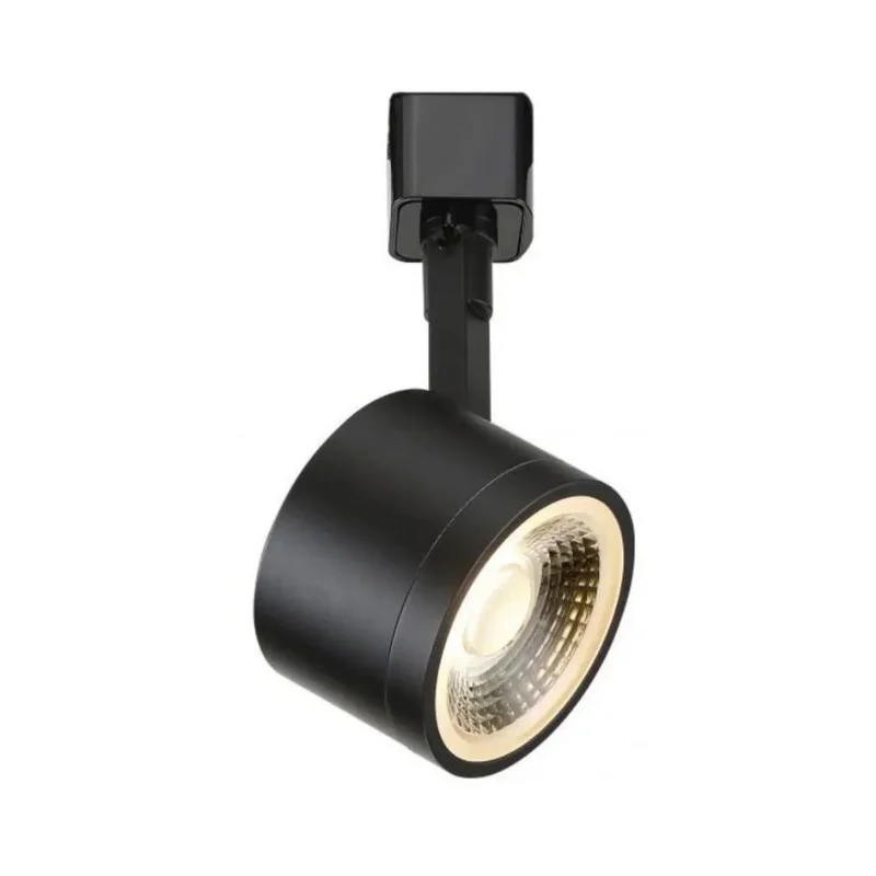 beeslighting12663942