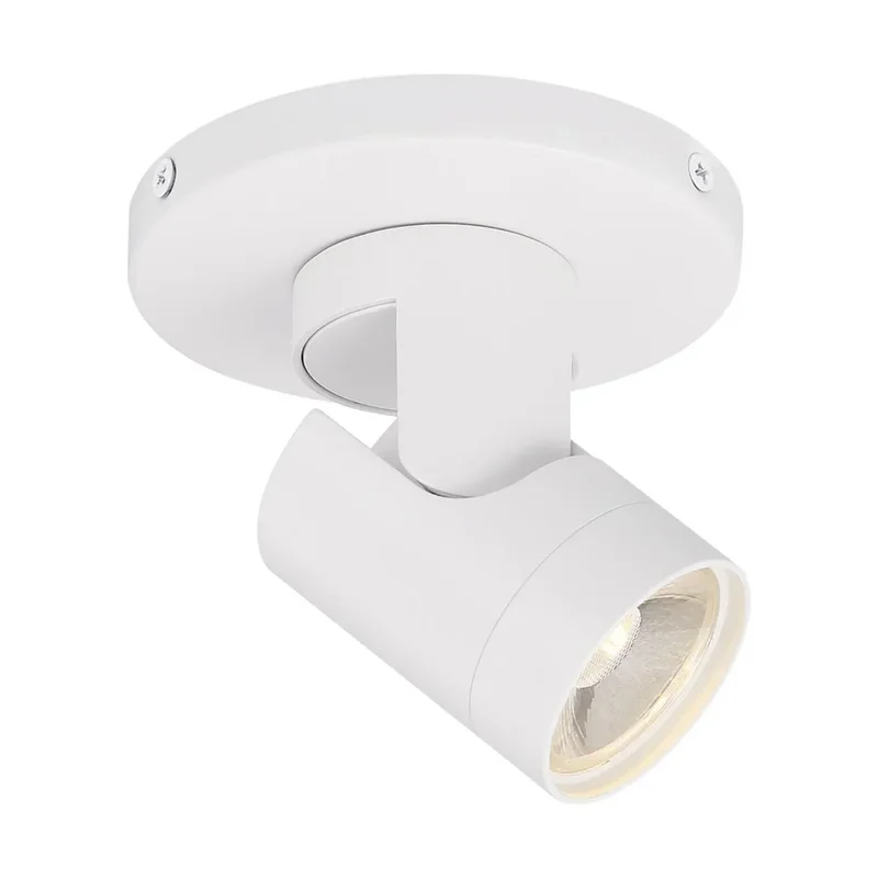 beeslighting12664785