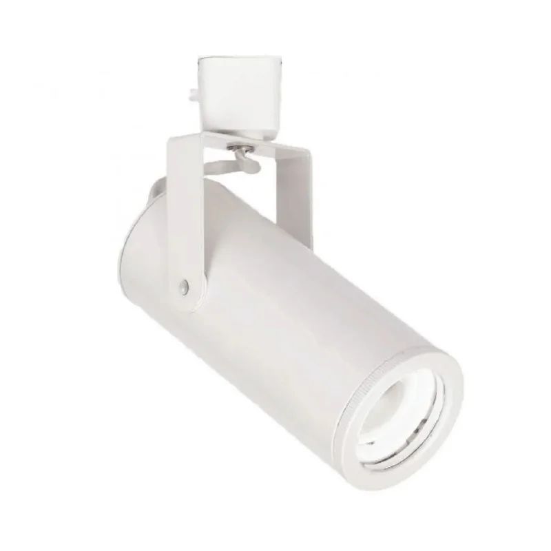 beeslighting22457839