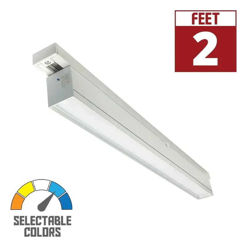 beeslighting22469589