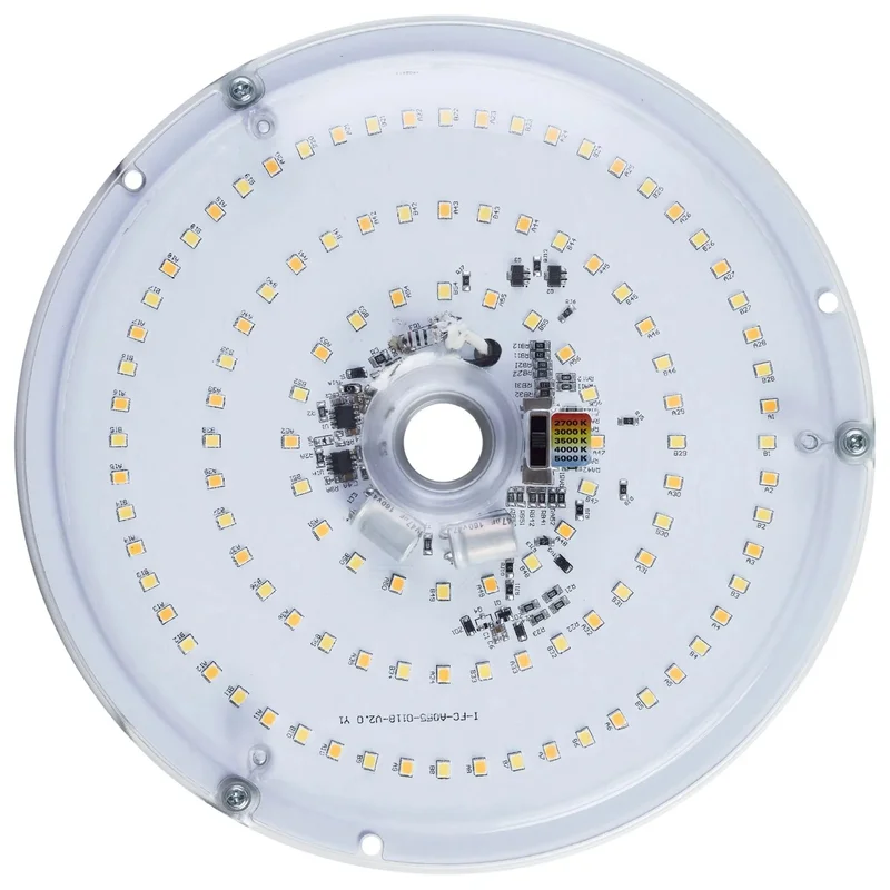 beeslighting22593291