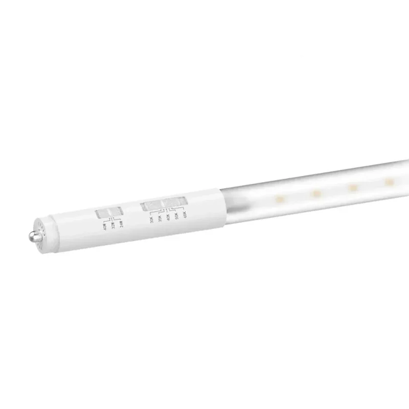 beeslighting22603658