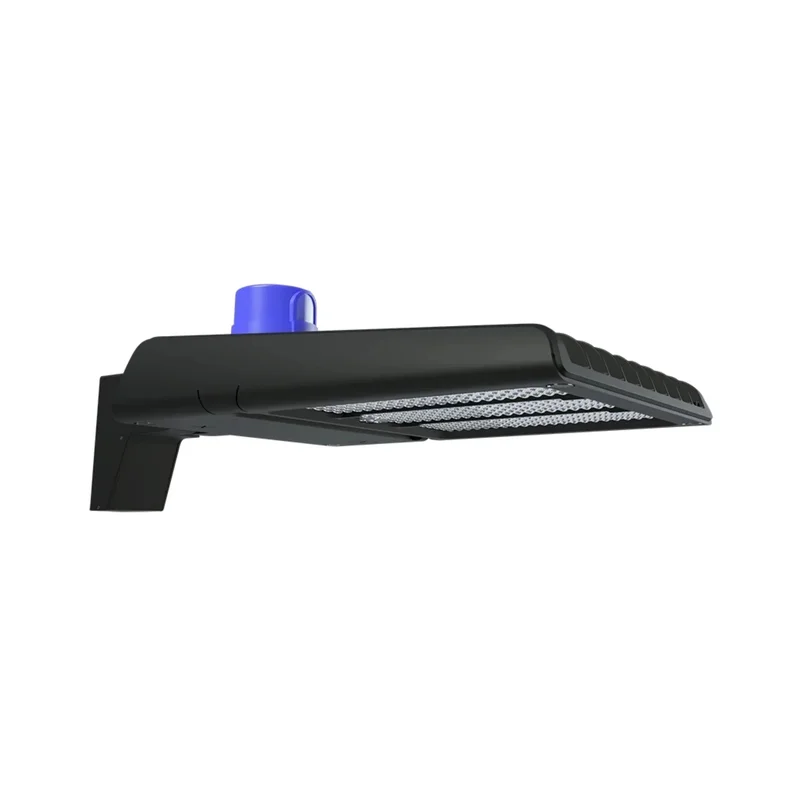 beeslighting22605961