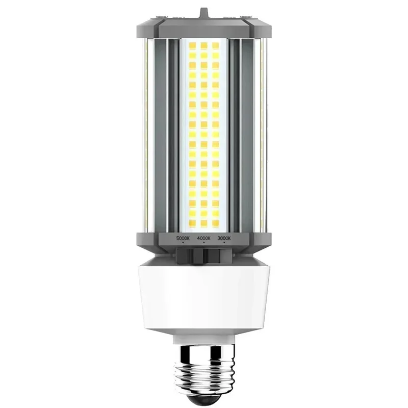 beeslighting22606002