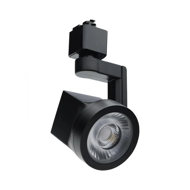 beeslighting22606277