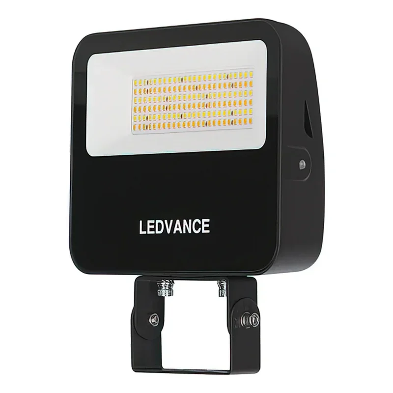 beeslighting22608015