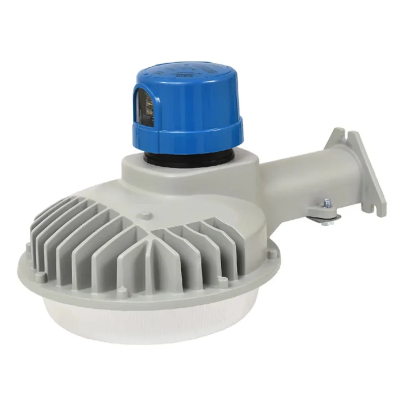 beeslighting22608355