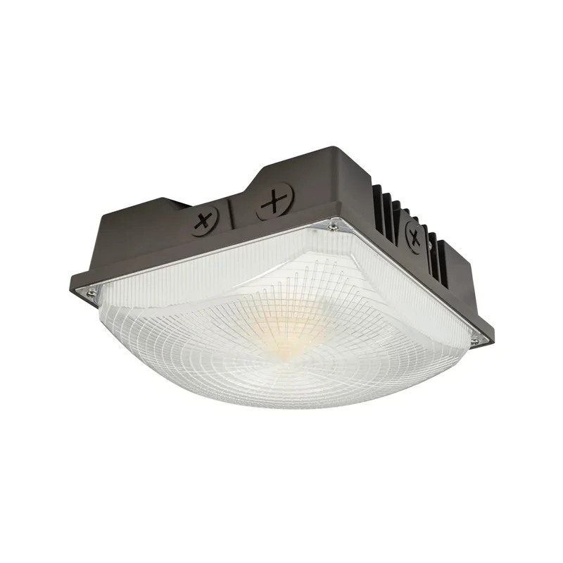 beeslighting22608659