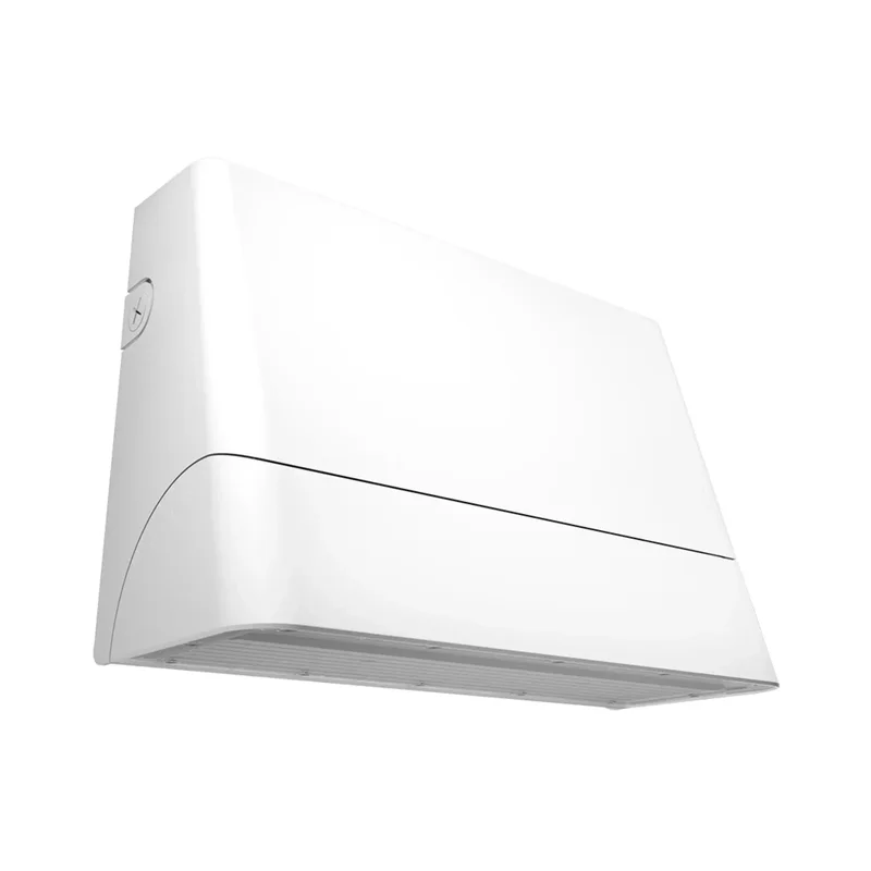 beeslighting22609324