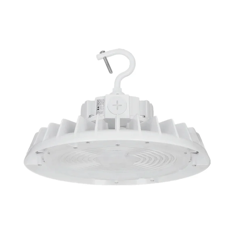 beeslighting22612592
